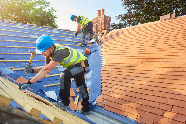 Best Roof Ventilation Installation  in Brunswick, OH